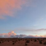 Música en Tinta Meridiano De Sangre