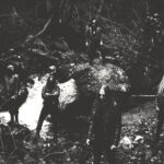 Ill Tidings | This Is Metal Revista www.thisismetal.es