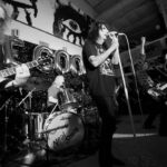 Alice cooper at good records in dallas, texas.photograph by allison v. smith
