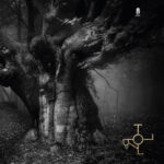 Drott | this is rock revista magazine pura energía decibélica