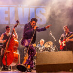 The elvis concert | this is rock revista magazine pura energía decibélica