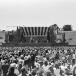 Grateful dead | this is rock revista magazine