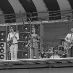 Grateful dead 1973
