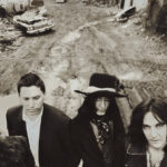 The black crowes this is rock