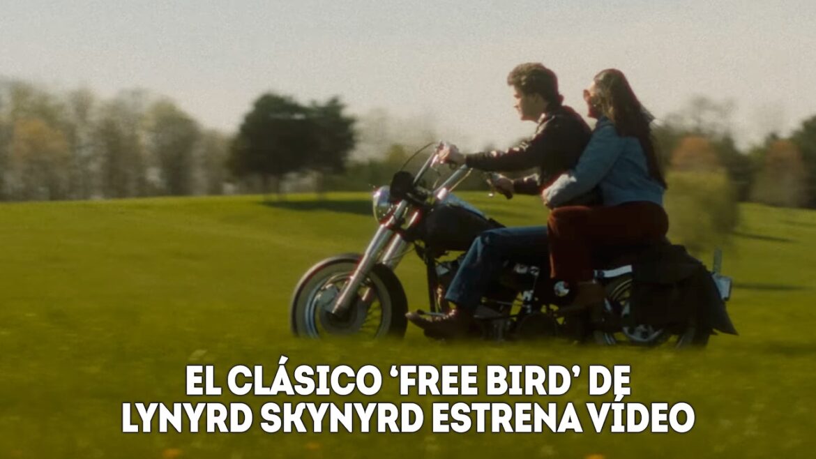 1 el clásico free bird de lynyrd skynyrd estrena vídeo