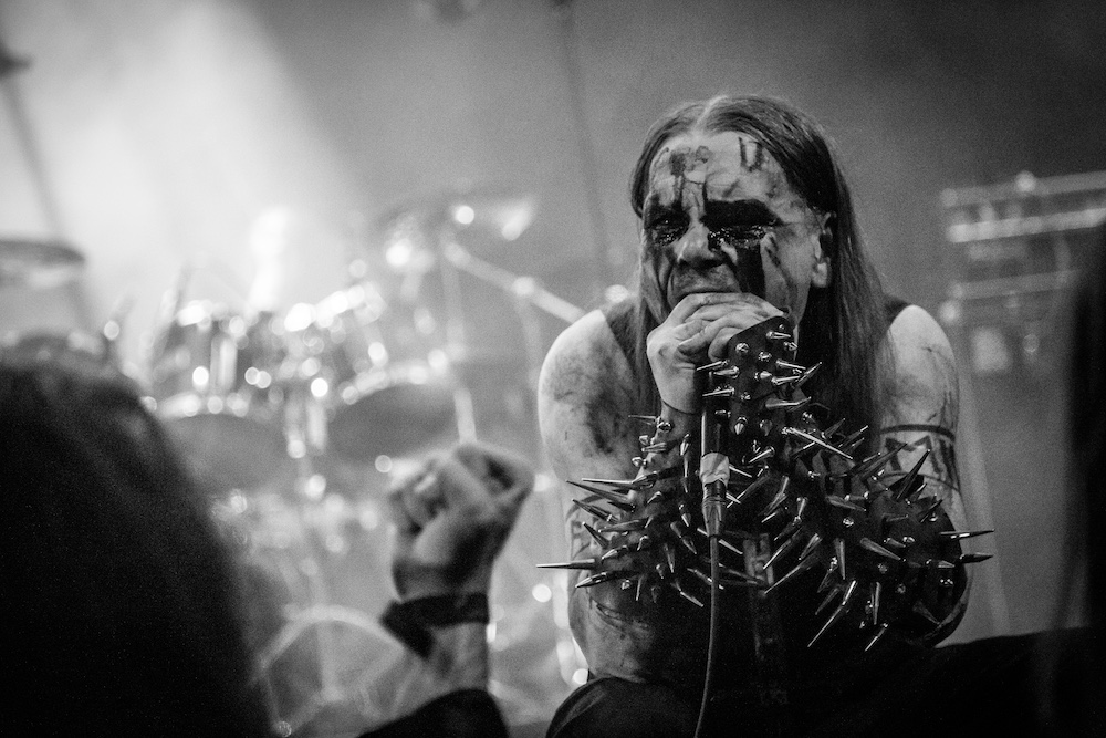 Carpathian forest